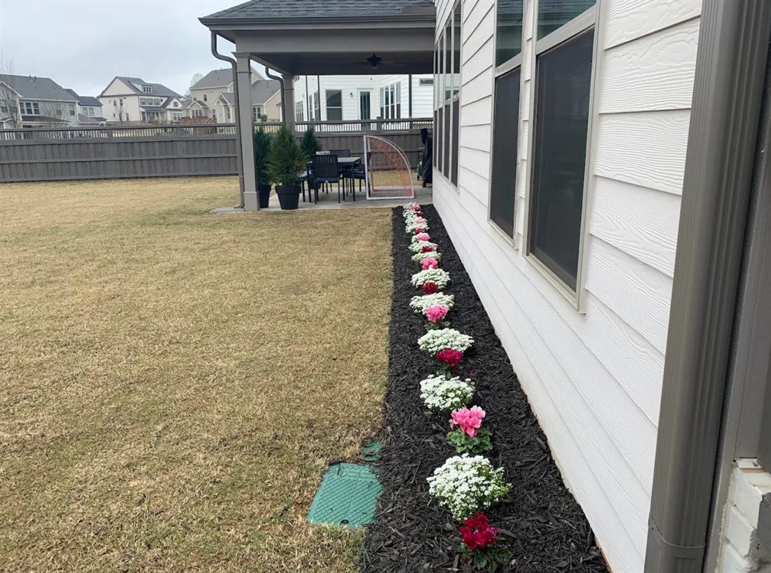 Tidied flower bed with fresh seasonal blooms along a home